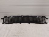 Lower Grille